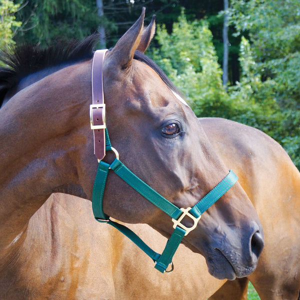 Country Pride Leather Replacement Halter Crown 24 inch